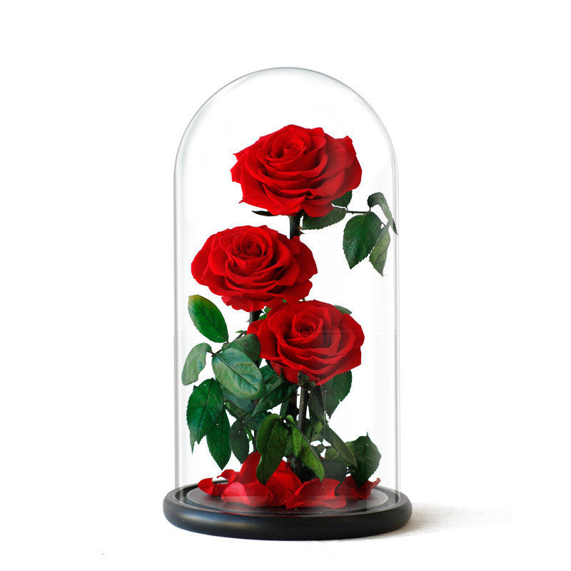 Ewige Rose in Glaskuppel