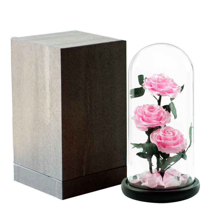 Ewige Rose in Glaskuppel